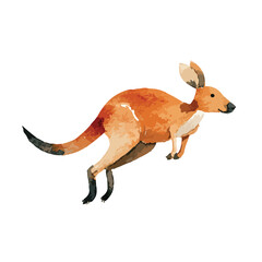 Fototapeta premium Dynamic Jumping Kangaroo Watercolor Illustration Australian Wildlife Animal Art.