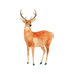 Fototapeta premium Elegant Watercolor Deer Illustration Wild Forest Animal Art.