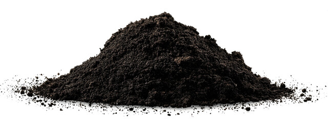 Idyllic Summer Picnic Scene with Bountiful Fresh Fruits, Artisanal Bread, and Refreshing Beverages Laid Out on a Cozy Blanket in Nature's Embrace