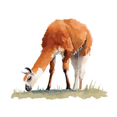 Obraz premium Guanaco Grazing on Grass Vector Illustration.