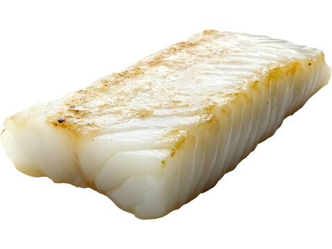 Raw haddock fillet isolated on transparent background. Fresh white fish portion for seafood cooking, recipes and food design..