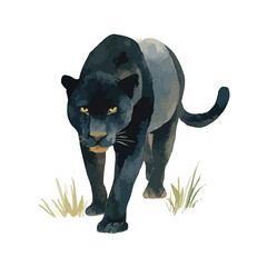 Majestic Black Panther Stalking Vector Illustration.