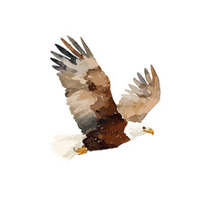 Majestic Flying Bald Eagle Vector Art Illustration.