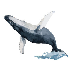 Majestic Humpback Whale Breaching Ocean Water Illustration.