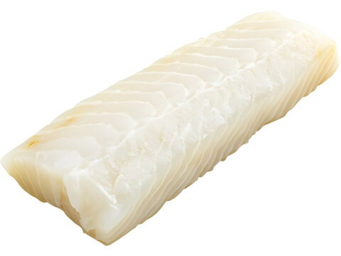 Haddock fish fillet isolated on transparent background. Fresh seafood ingredient perfect for restaurant menus, healthy recipes, and culinary design projects.