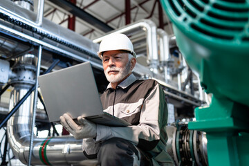 Senior engineer working on laptop at industrial plant