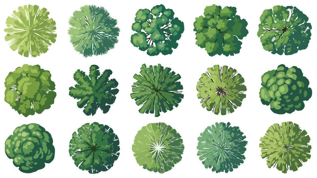 A collection of fifteen diverse green trees viewed from directly above, showcasing various shapes and textures of foliage in a top-down perspective.