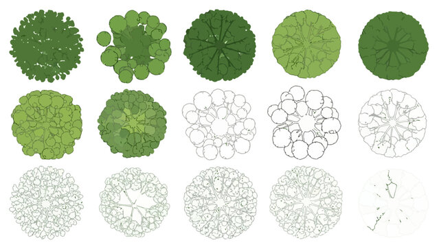 Collection of top-down tree illustrations, showcasing various styles from realistic to schematic representations.