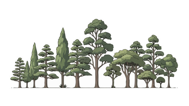 A diverse collection of stylized evergreen trees and deciduous trees, showcasing various shapes and sizes in a horizontal arrangement.