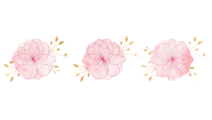 Delicate pink floral watercolor illustration with golden accents, perfect for invitations and elegant designs