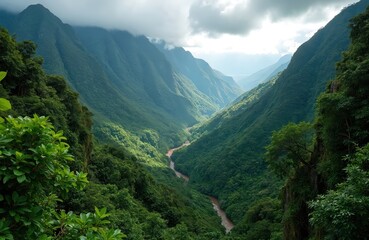 Naklejka premium Scenic view of a lush green mountain valley with a river. The landscape has tropical rainforest with clear sky. Nature background in Brazil at national park.