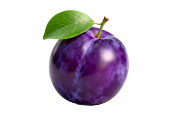 Ripe Purple Plum with Green Leaf