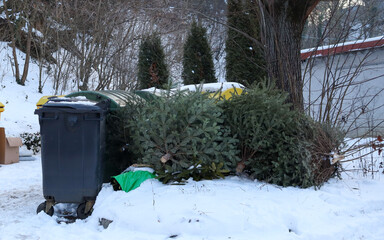 Discarded christmas trees piled next to garbage bins in the snow