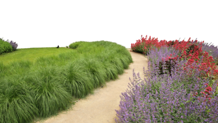 Foreground of a park with a pathway and grass and flowers, isolated on white and transparent background