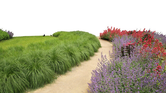 Foreground of a park with a pathway and grass and flowers, isolated on white and transparent background