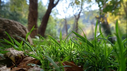 Obraz premium Nature-inspired visual concepts exploring seasons, sustainability, eco lifestyle, and mindfulness through immersive perspectives and diverse artistic styles.