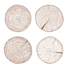 Tree ring wood texture cross section vector set. Natural wooden grain pattern circle. Annual growth illustration brown organic timber slice collection