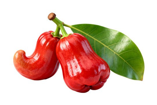 Fresh Red Wax Apples with Green Leaf and Stem