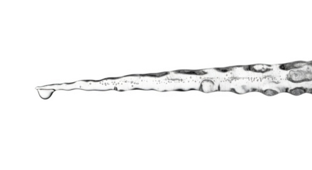 Melting icicle with water droplet and air bubbles isolated on a transparent background image