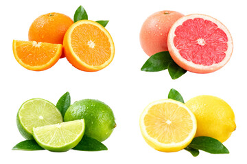 Fototapeta premium Citrus Fruits Collection with Fresh Leaves