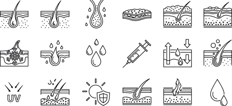 Set of line icons illustrating hair and skin structure, care, and treatments.