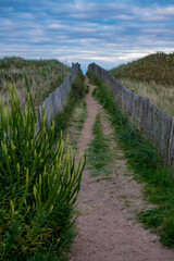 St Andrews, Scotland: sandy path with green bush between a wooden fence leading to West Sands Beach, sandy beach backed by dunes and the legendary St Andrews Links golf courses