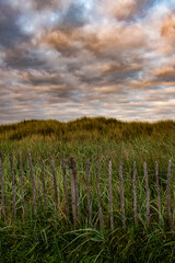 St Andrews, Scotland: sunset on the sandy path with green bush and wooden fence leading to West Sands Beach, sandy beach backed by dunes and the legendary St Andrews Links golf courses