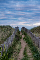 St Andrews, Scotland: sandy path with green bush between a wooden fence leading to West Sands Beach, sandy beach backed by dunes and the legendary St Andrews Links golf courses