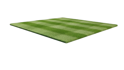 Freshly Cut Green Grass Field with Stripes