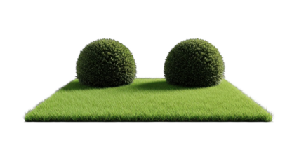 Topiary Bushes On Green Grass, Isolated White Background