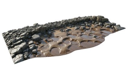 Rocky Shoreline with Tide Pools and Sand