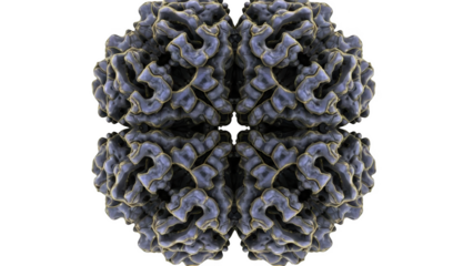 Intricate blue and gold protein molecule structure with symmetrical arrangement isolated on a transparent background