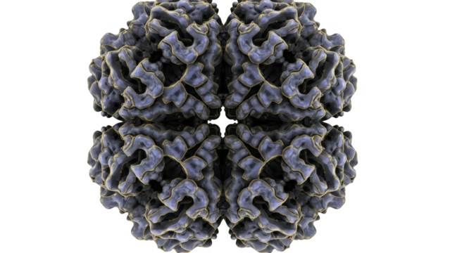 Intricate blue and gold protein molecule structure with symmetrical arrangement isolated on a transparent background - Powered by Adobe