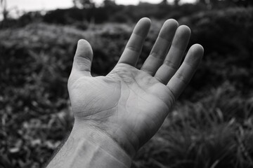 Black and white photo of open hand gesture with palm facing camera outdoors in natural setting with blurry with up