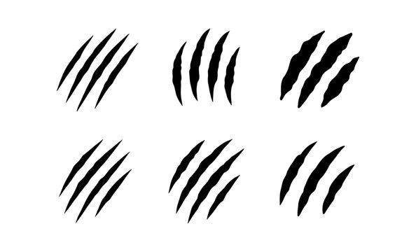 Collection of six black claw marks on a white background, representing animal scratches