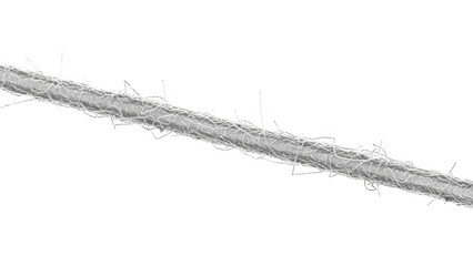 Close up microscopic view of a single white fiber with attached filaments isolated on a transparent background