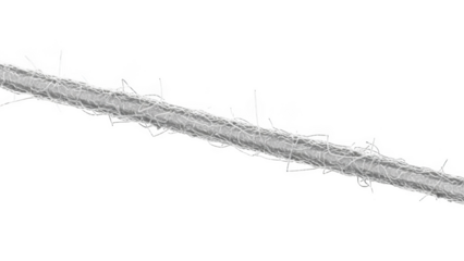 Close up microscopic view of a single white fiber with attached filaments isolated on a transparent background