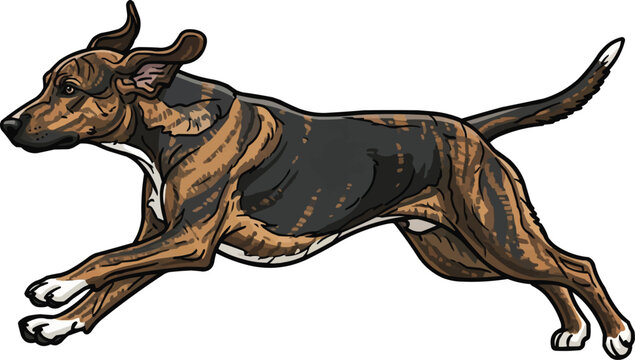 Plott Hound dog running energetic athletic hunting movement