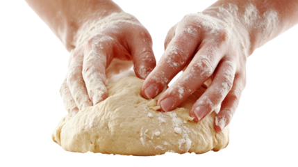 Hands kneading dough on transparent background