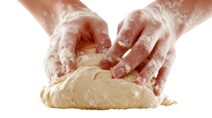 Hands kneading dough on transparent background