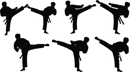Martial arts silhouettes, high kick pose, uniform and belt, dynamic stance, combat gesture, training icon, discipline, agility, technique