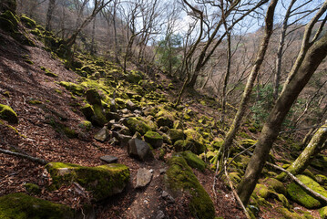 Climbing Mount Amagi, Shizuoka, Japan