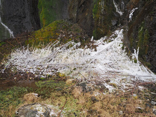 滝の水しぶきで凍った草