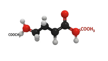 Molecular structure of acetoacetic acid with chemical formula labels isolated on a transparent background