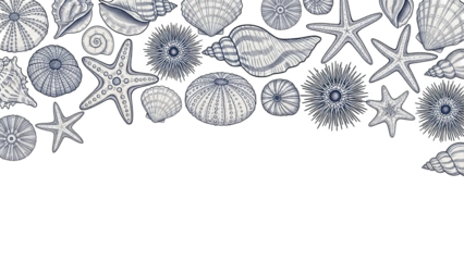Engraved Seashells Starfish Border On Black Background