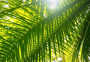 Vibrant green palm fronds, sunlight dappled, tropical lushness,  leaves,  image
