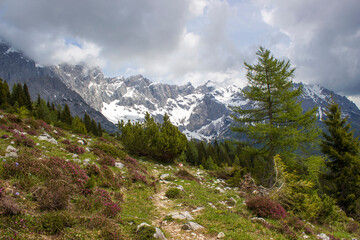 Landscape in the Austrian Alps of the Dachstein region (Styria in Austria)