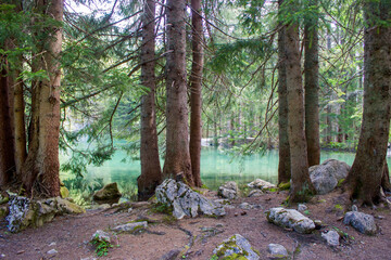 Lake in the Austrian Alps of the Dachstein region (Styria in Austria)