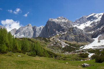 Landscape in the Austrian Alps of the Dachstein region (Styria in Austria)
