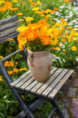 Beautiful fresh summer flowers in a vase on chair